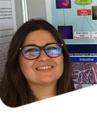 Palma Simoniello